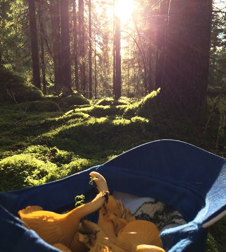 Förhandsvisning av bild