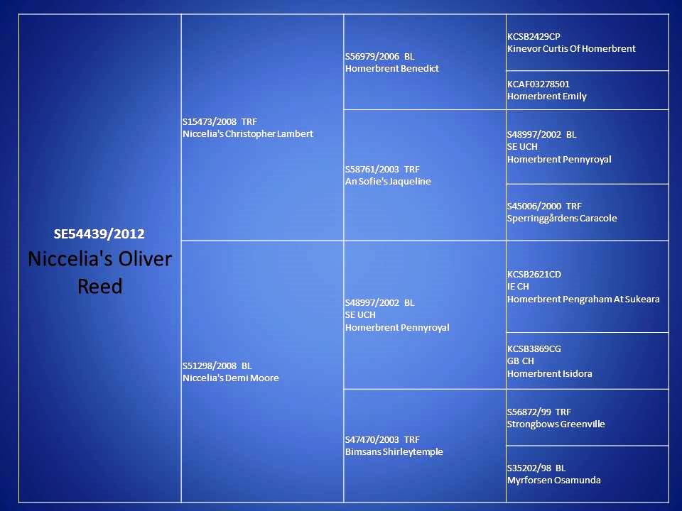 Förhandsvisning av bild