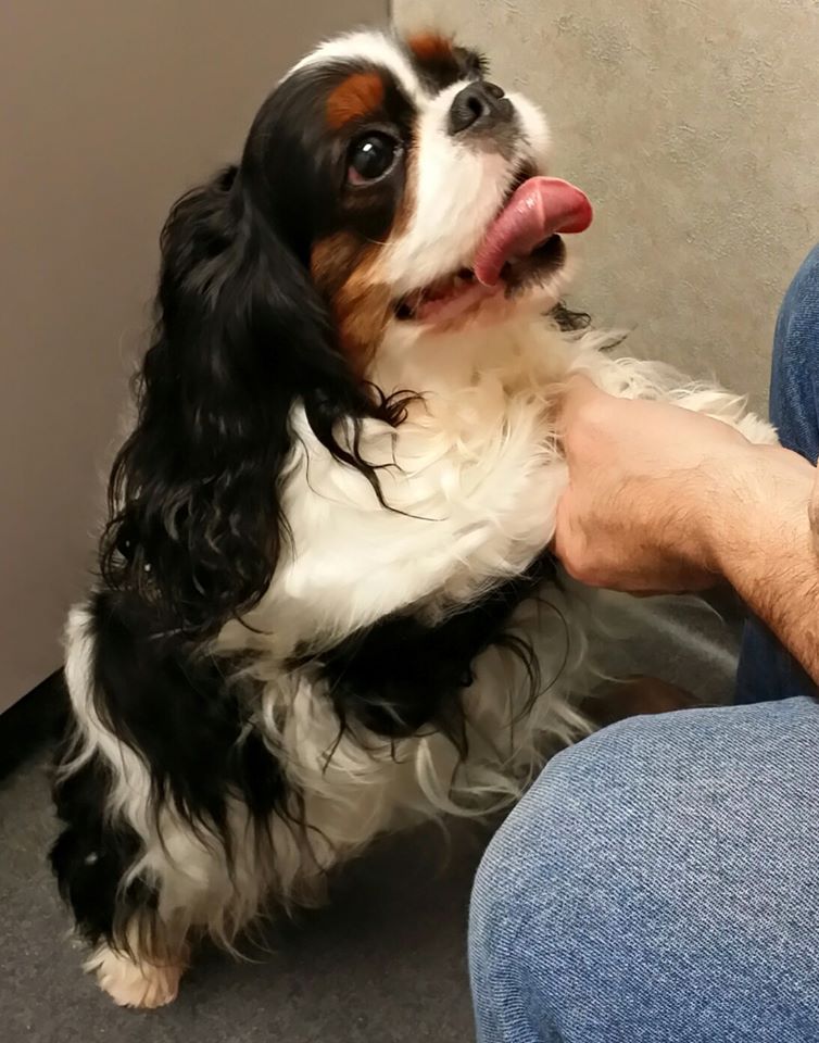 Förhandsvisning av bild